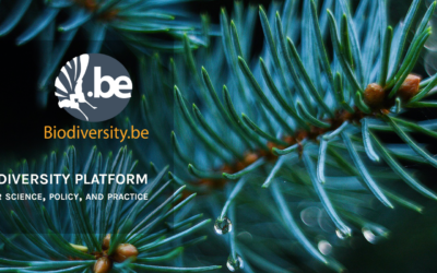 Belgian Biodiversity Platform